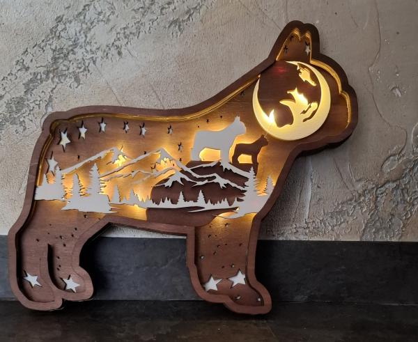 Französische Bulldog  Cirlce of Life