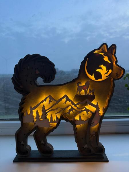 Sibirien Husky  Circle of Life